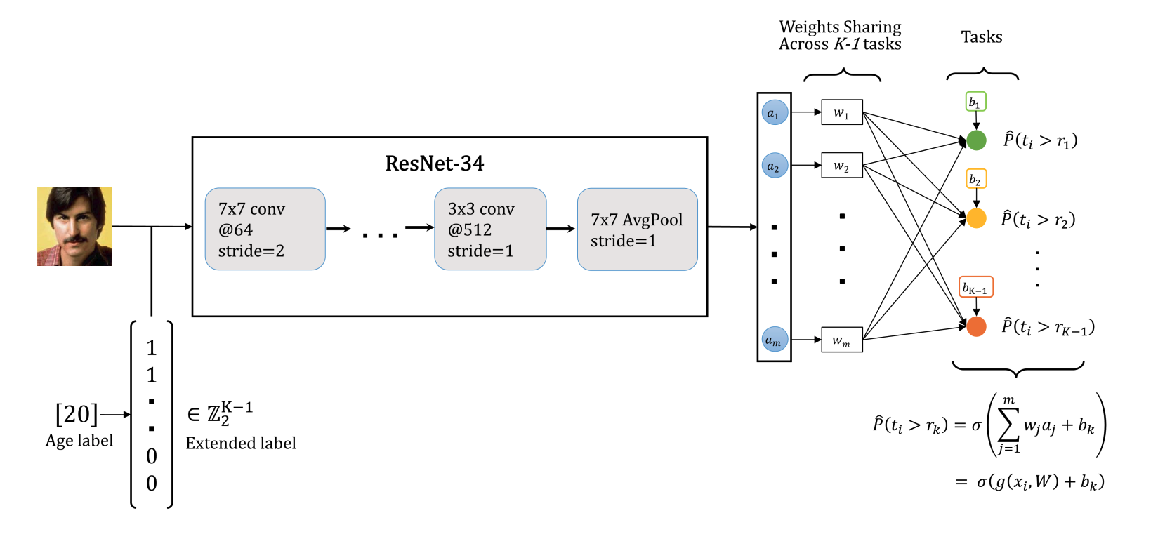 CORAL age-estimation architecture with a ResNet backbone, extended ordinal labels, and weight-shared binary tasks